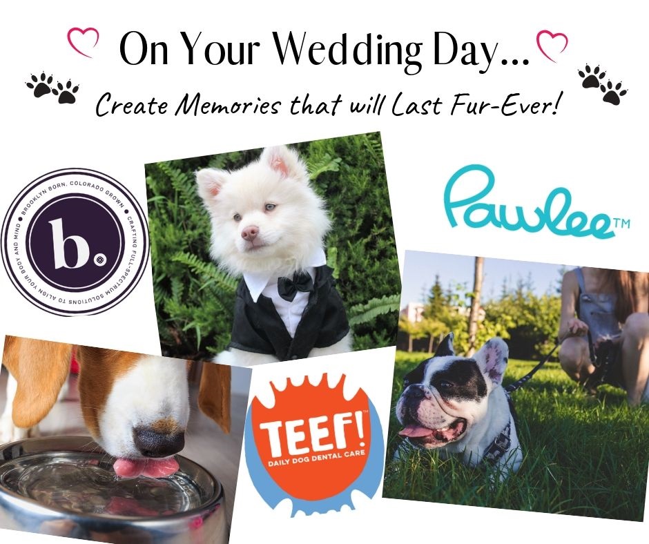 Tips for Including Your Dog in Your Wedding: Creating Memories that will Last Fur-Ever!