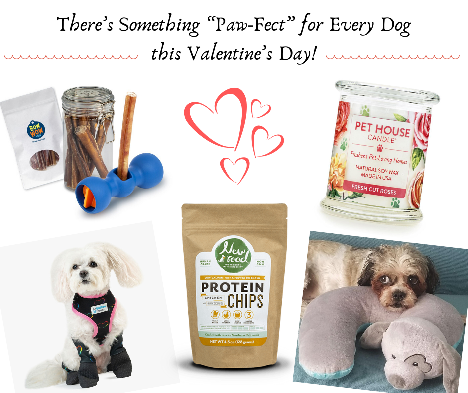 There’s Something “Paw-Fect” for Every Dog this Valentine’s Day!